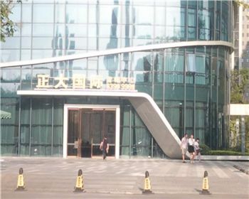 正大國際合作客戶(hù)一河南加固